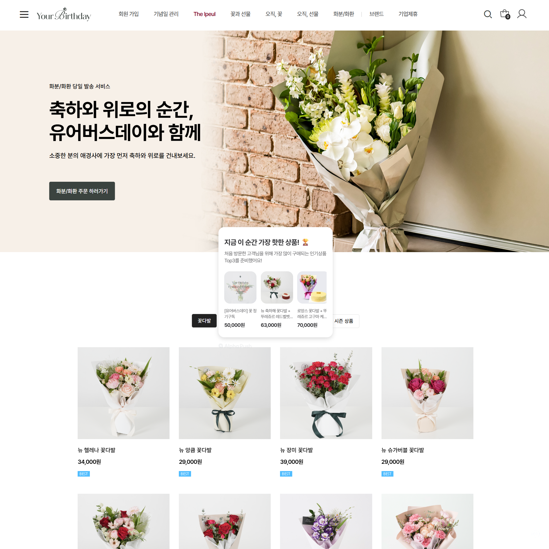 기업 커머스 웹사이트 제작